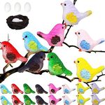 Yatinkim 20 Pcs Miniature Bird Figurines Bird Decorative Figurines Resin Birds Figurine Mini Micro Landscape Home Crafts Ornaments Scene Decor Cute Animal Model Cupcake