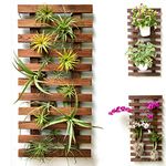 Wall Planter – Wooden Hanging Planter for Indoor Plants, Plant Stand, Air Plant Succulent Holder, Vertical Garden. Large Wall Decor for Living Room, Room Decor for Teens