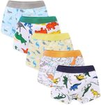 Chung Toddler Little Boys Underwear