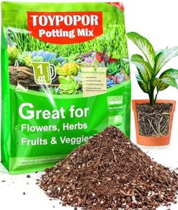TOYPOPOR S