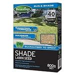 Brunnings Shade Lawn Seed 800 g