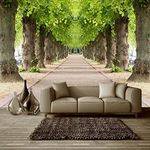 Kayra Decor PVC 3D Wallpaper Print Indoor Wall Mural (96" X 120") Inch -(CUSTOM003-5)