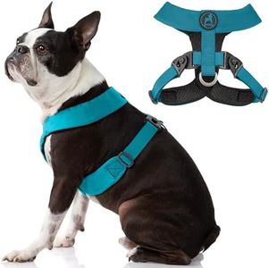 Gooby Dog Harness - Turquoise, Medium - Comfort X Harness Dual Snap Rotational Buckles with Patented Choke-Free X Frame - Perfect on The Go No Pull Harness for Small Dogs for Indoor and Outdoor Use