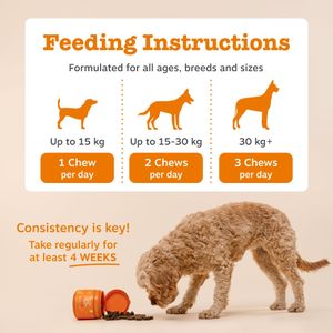 Zesty Paws Probiotics for Dogs – 90 Chews Digestive Supplement