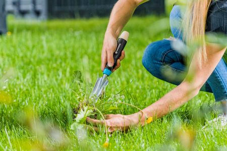 Gardena EcoLine Weeding Trowel – Stainless Steel Garden Tool