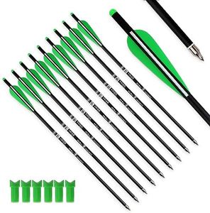 Tiger Archery 20inch Hunting Archery Carbon Arrow Crossbow Bolts with 4" vanes Feather and Replaced Arrowhead/Tip(Pack of 12) … (Green)