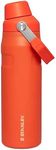 Stanley IceFlow Fast Flow Water Bottle 24 oz | Angled Spout Lid | Lightweight & Leakproof for Travel & Gym | Insulated Stainless Steel | BPA-Free | Tigerlily