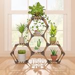 Tikea Hexagonal Corner Plant Stand, and Wooden Corner Plant Shelf, 7 Tiers Potted Sturdy Creative DIY Plant Holder Rack for Corner, Window, Living Room, Office, Balcony, Garden, Natural Wood