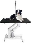 Bonnlo Hydraulic Dog Grooming Table, Professional Heavy Duty Grooming Table for Dogs, Trimming Table Drying Table w/Arm/Noose