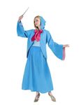 Fairy Godmother Costume for Women Adult Halloween Outfit Plus Size Girls with Dress Hooded Cloak Cape for Cosplay Party