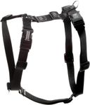 Blue-9 Buckle-Neck Balance Harness, Fully Customizable Fit No-Pull Harness, Ideal for Dog Training and Obedience, Made in The USA, Black, Medium/Large