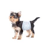 Disposable Male Dog Diapers - Absorbent Male Wraps Belly Bands for Male Dogs with Leak Protection, Excitable Urination, Incontinence, or Male Marking, 60 Count, Extra Small