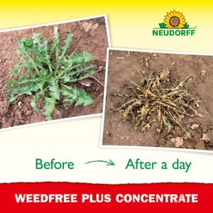 Neudorff WeedFree Plus Weed Killer Concentrate, 1020ml
