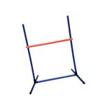 UJEAVETTE Dog Agility Training Equipment Course Backyard Set for Dogs Outdoor Backyard A