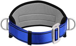 Trsmima Safety Climbing Harness Belt - Positioning Climbing Belt with Waist Pad and 2 D Rings, Personal Portable Safety Belt Kit Protective Equipment