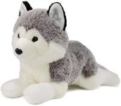 Ice King Bear 1.5Lbs Lifelike Siberian Husky Weighted Stuffed Animal - Plush Toy - 13"