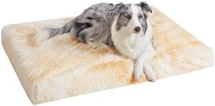 Eterish Soft Plush Dog Bed Bed Large Dog Bed with Removable Washable Cover, Egg Crate Foam Pet Bed Mat Yellow-XL