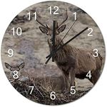 BYRON HOYLE Wall Clock Stag Wild An