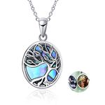 Tree of Life Locket Necklace Sterling Silver Locket Necklace That Holds Pictures Tree of Life Locket Pendant Mother's Day Gifts for Women Wife Girlfriend