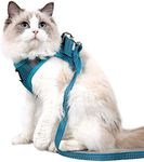 Dotoner Cat Outdoor Walking Harness