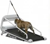 Dog Treadmill, Pet Dog Running Machine for Small & Medium-Sized Dogs, 220LBS, DurableTreadmill for Health and Exercise Pet Fitness Treadmill with LCD Display Screen