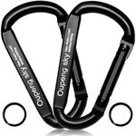 Carabiner Clip，855lbs，3" Iron Heavy