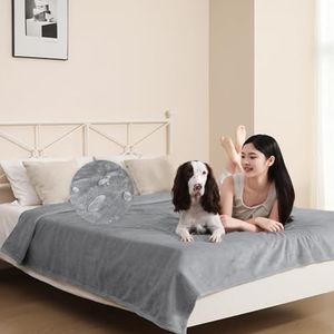 DUJUIKE Waterproof Bed Blanket, Flannel Waterproof Dog Blanket, Suitable for Pet Blanket Bed Sofa Furniture Protector, Double-sided Soft Multi-functional Waterproof Cover Blanket (60"×80", Light Gray)