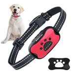 Most Effective Bark Collar