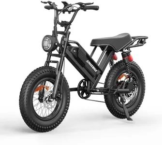 Spacewalk Electric Bike for Adult,20"x4"Fat Tires Ebike,Suitable for Riders 5'5"& Above,750W Motor,24.9mph,48V 15Ah Removable Battery,2X Front & 2X Rear Suspension (Black) (20" Black)