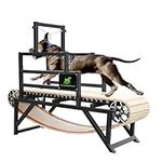 BowWowTread Dog Treadmill for Large