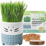 The Cat Ladies Cat Grass for Indoor Cats, Cat Grass Growing Kit with Organic Cat Grass Seed Mix, Soil and Ceramic Cat Planter, Pet Grass for Cats, Natural Hairball Remedy, Cat Gifts