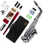 SLADE Saxophone Eb Alto Saxophone for Beginner Students, Saxaphone Adult, Saxophone Alto, Beginner Saxophone, Alto Saxaphone, Saxofon Alto, Saxophone, Black & Silver