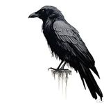 6 Pcs Temporary Tattoos black crow 