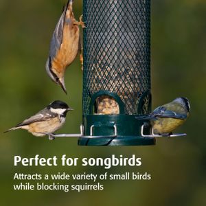 Jacobi Jayne Squirrel Buster Mini Bird Feeder – Squirrel-Proof
