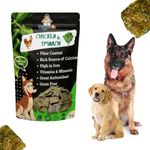 WiggleBoo Chicken & Spinach Dog Treat | Protein Rich | Fiber Rich | Crunchy Healthy Snacks | 75g