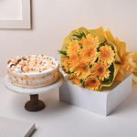 FlowerAura 500g Butterscotch Cake With Fresh Live 12 Yellow Gerberas Flower Bouquet For Valentine's Day Gift, Birthday Gift, Anniversary Gift, Women's Day Gift, Mother's Day Gift (Same Day Delivery)