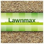 Lawnmax, Grass Seeds, Rapid Growth Economy Mix for Hard Wearing, Shady Lawn, New Lawn, Lawn Repair (1KG)