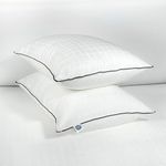 bien LIVING Extra Soft Microfiber Filled Pristine Pillow, Luxurious 300 Tc 100% Cotton Fabric Treated with Sanitized Finish, Sleeping Pillow for Back Sleepers, 17 X 27 Inches, White (Pack of 2)