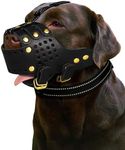 Dog Muzzle, Anti-Escape Leather Basket Muzzle for Medium and Large Dogs, Pitbull Dog Muzzle Leather Amstaff Muzzles Staffordshire Terrier Secure Basket, Prevents Biting, Barking and Chewing(Black,XL)