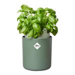 elho Bouncy Basil 16 - Self Watering Plant Pot for indoor - Herb Planter made of 100% recycled plastic - Ø 16.5 x H 21.0 cm - Green/Leaf Green