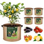 T4U 5-Pack 10 Gallon Fabric Plant Grow Bags, Heavy Duty Smart Growing Bag with Handle, Thickened Breathable Nonwoven Growbag Planter Container for Potato Tomato Chili Strawberry Vegetable Seed Outdoor