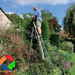 Tripod Garden Ladders with Built-in Platform by Henchman 8' - (2.4m) All 3 Legs Fully Adjustable. Lightweight, Easy to Move Single-handedly. The Professional Gardeners' Choice.