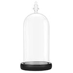 BELLE VOUS Glass Dome Cloche Bell Jar with Black Wooden Base - 26.5cm / 10.43 Inches - Clear Decorative Tabletop Display Case with Tray for Fairy Lights, Centrepieces and Antiques