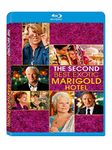 The Second Best Exotic Marigold Hotel (2015)