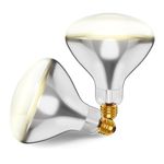 250R40/1 250-Watt, Incandescent R40 Reflector, Clear Head Lamp, Heat Flood Lamp Light Bulb, E26 Standard Medium Screw Base, 120V, 6,000 Hour Rated (Pack of 2-Clear-Heat Lamps)