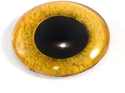 Yellow Owl Eye in 25mm 1 Inch for Taxidermy Sculptures or Jewelry Making Pendants Crafts Art Doll Wire Wrapping DIY Flatback Cabochon