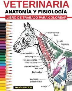 Veterinaria Ibro De Trabajo Para Colorear Anatomía Y Fisiología Libro De Trabajo Para Colorear: Guía de Estudio de Autoevaluación, Preparación de ... de Medicina Veterinaria y Enfermería