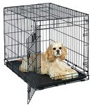 Medium Dog Crate | MidWest Life Stages 30" Folding Metal Dog Crate | Divider Panel, Floor Protecting Feet, Plastic Tray | 30"L x 19"W x 21"H Inches, Medium Dog Breed