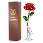 Sinvitron Gold Dipped Rose 24K Real Rose Flower, Long Stem Gold Plated Rose with Stand,Valentines Day Gifts for Her,Gifts for Mom,24K Golden Rose for Anniversary and Mothers Day, Birthday (Red)