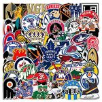 100Pcs Ice Hockey Stickers, Hockey Teams Logo Stickers, DREAM WING Waterproof Vinyl Stickers Basketball Logo Stickers for Fan Scrapbooks, Water Bottles, Luggage, Phone, Laptop for Adults Teens Decals